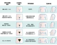 私处的毛毛到底要不要脱