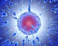 男性健康与精液有什么关系