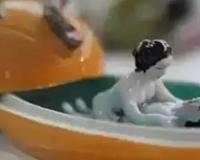 古代人性教育？花式飙车了解一下