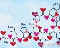 问世间情为何物，揭秘爱情背后的神经科学！