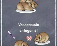 问世间情为何物，揭秘爱情背后的神经科学！