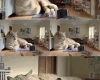 心理专家建议不要在1月份制定新年计划