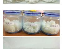 《水知道答案》意念的力量，花疗师的米饭实验