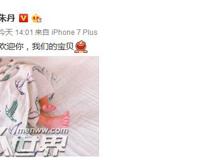 朱丹喜得千金化身辣妈 周一围朱丹结婚照曝光