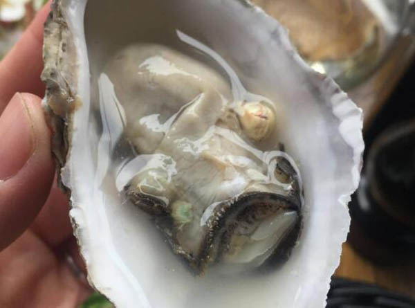 生蚝怎么吃最有营养 教你正确的生蚝吃法