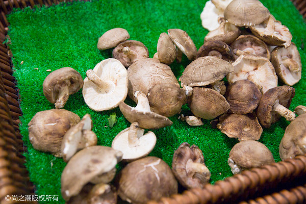 提高免疫力可以吃什么 这七种食物效果最佳