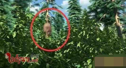 熊出没灵异截图 熊出没最恐怖的一集光头强死了