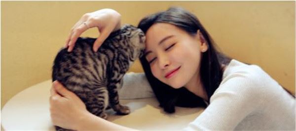 于文文个人简历、结婚了吗 老公是谁