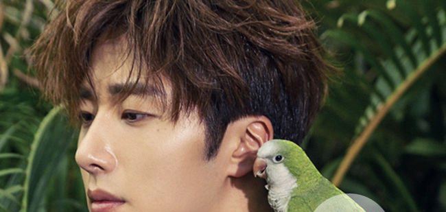 丁一宇自杀事件 为情所困痛苦不堪