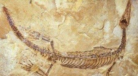 中国15大灵异事件 中国十大未解之谜事件