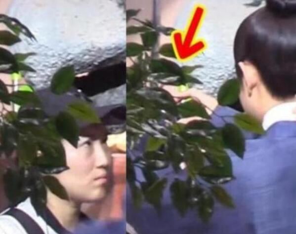 罗晋与助理亲密互动 女助理上演摸头杀关系不一般