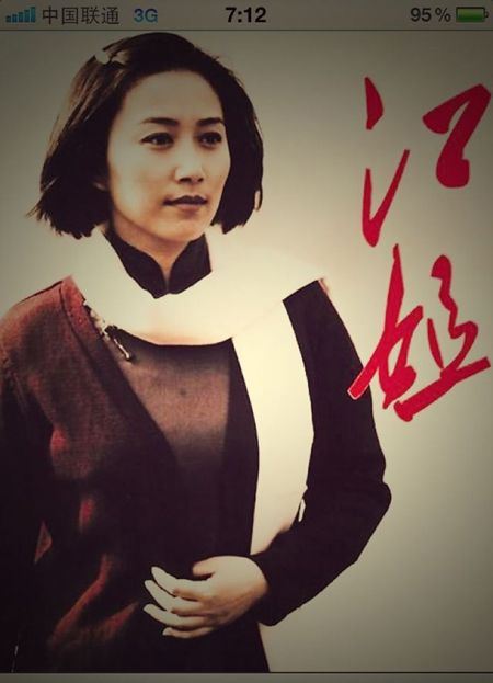 演员丁柳元个人资料 丁柳元的胸大吗