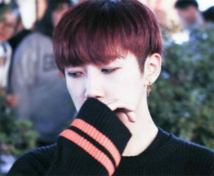 杨胜浩个人资料 杨胜浩怎么走红的