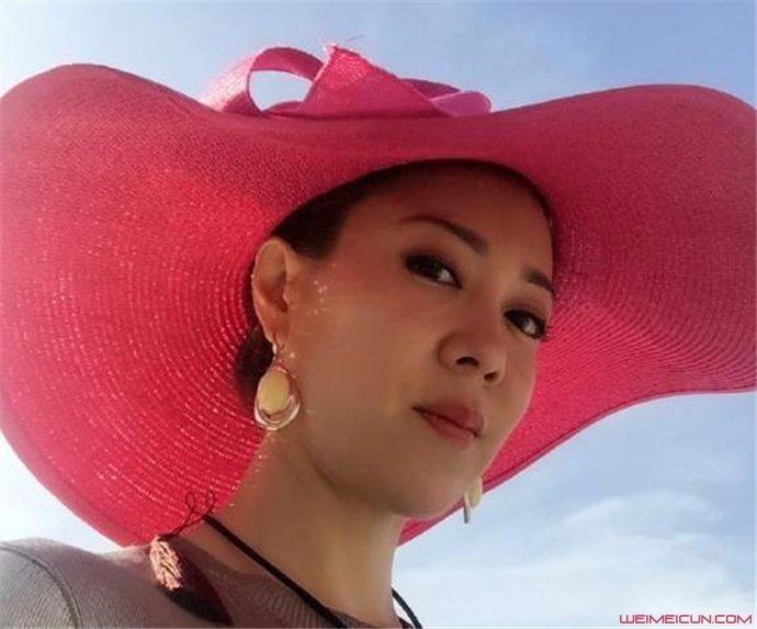 央视主持人文静简历 央视的当红主持人