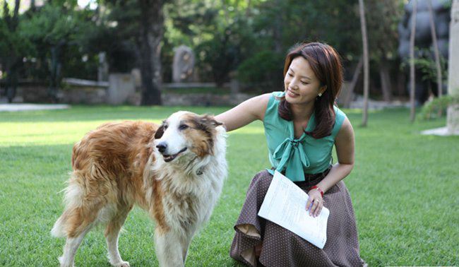 刘芳菲老公是谁 曾经有过两段婚姻揭秘