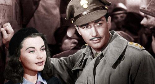 魂断蓝桥女主角是谁 费雯·丽资料介绍