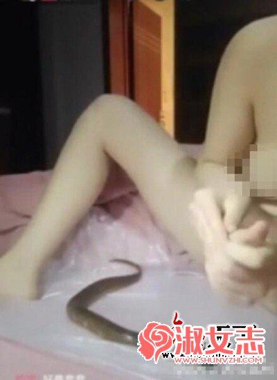 麻椒直播琪琪黄鳝视频 麻椒主播琪琪塞黄鳝死了吗(2)