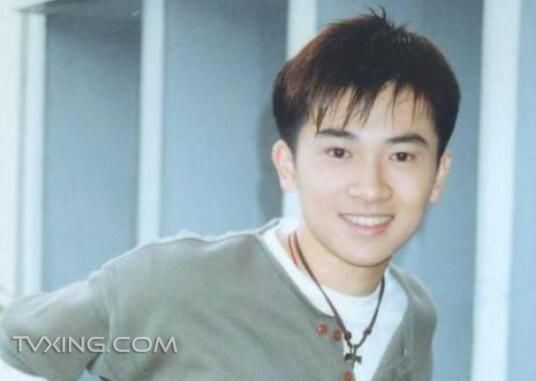 苏有朋结婚了吗 苏有朋赵薇之间的关系