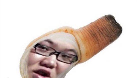 象拔蚌什么梗新生对话 象拔蚌是什么梗