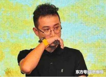 文章为什么放弃姚笛 对姚笛还是有感情的