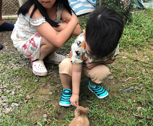 陈妍希晒儿子萌照 一家三口好着呢