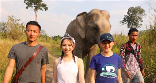  邓紫棋吃虫子怎么回事 令观众捧腹