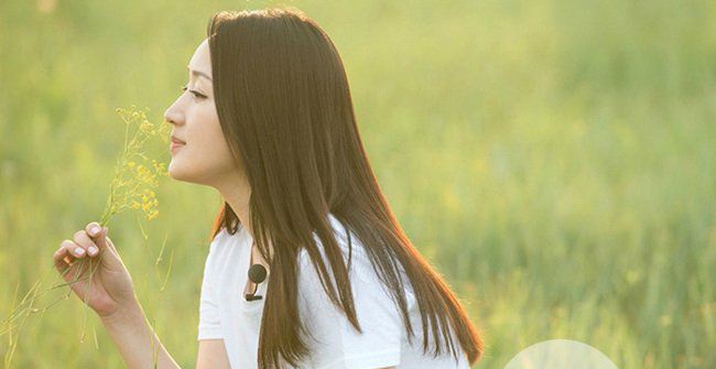 杨钰莹一生未嫁的原因 杨钰莹赖昌鑫事件