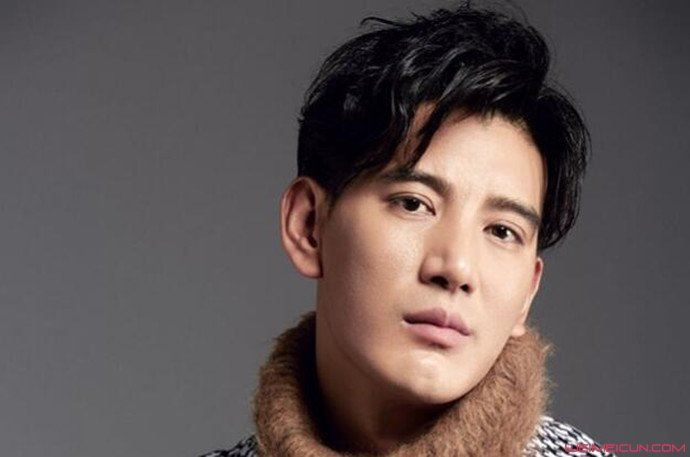 蒲巴甲和王力宏的区别 怎么长的那么像