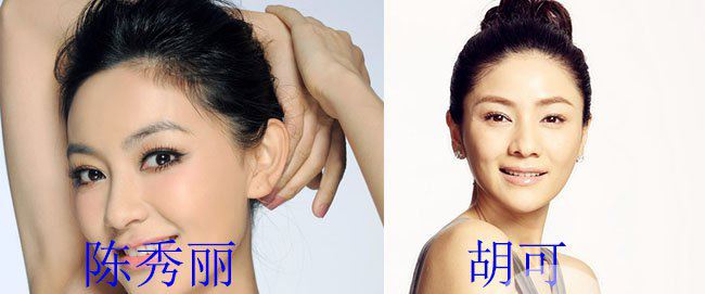 陈秀丽胡可对比照 网友们眼里就是一个人