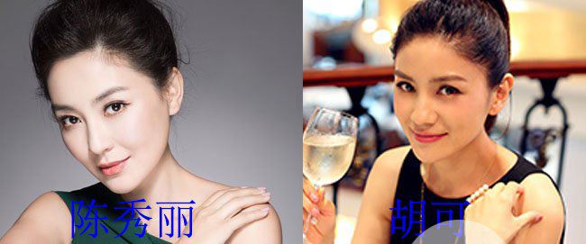 陈秀丽胡可对比照 网友们眼里就是一个人