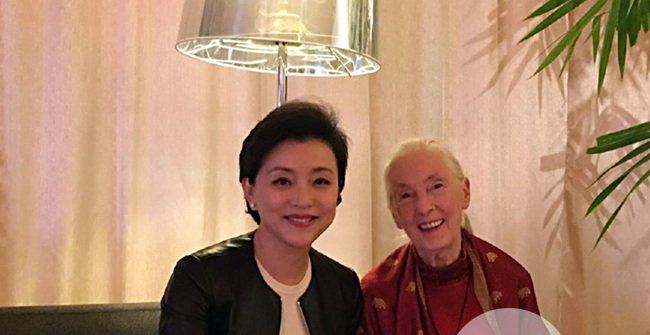 杨澜前夫是谁 杨澜的几次婚姻揭秘