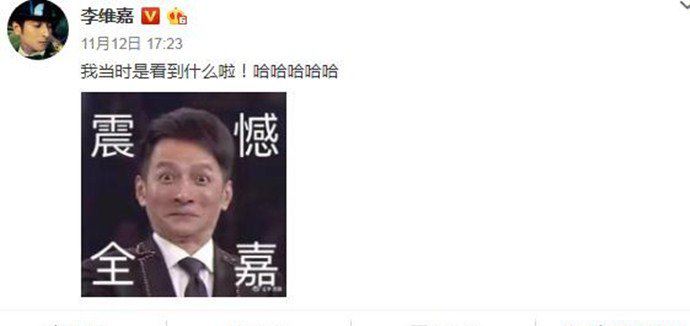 维嘉回应表情包 简直就是快乐源泉