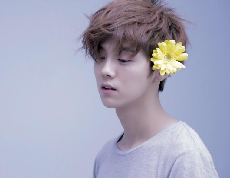 鹿晗为什么这么红 鹿晗效应又是什么意思