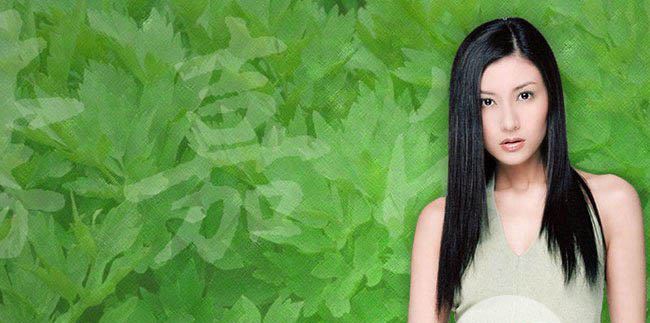 李嘉欣和许晋亨窗震 两人结缘的背后的故事