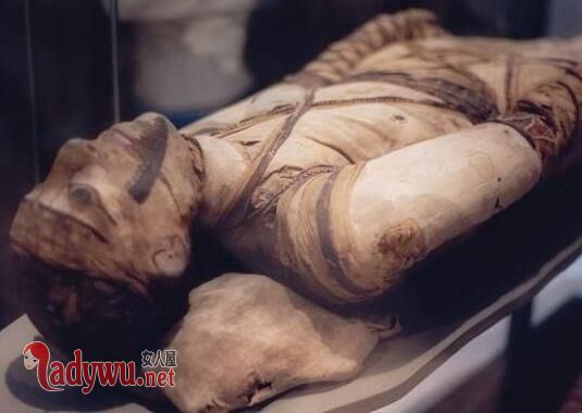埃及木乃伊是怎么形成的 埃及木乃伊杀人事件