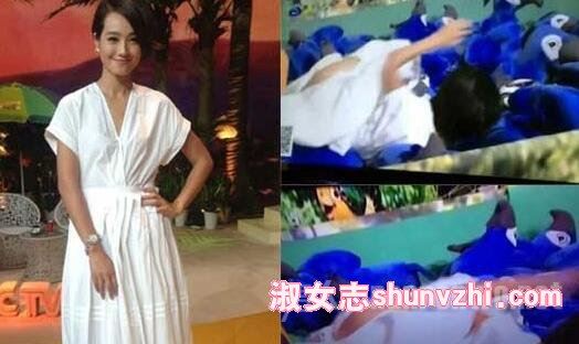 朱丹走光照片 朱丹低胸俯身走光