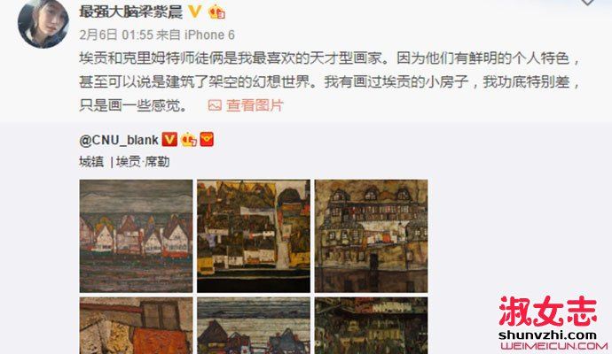 最强大脑梁紫晨个人资料微博