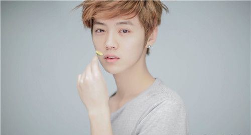 鹿晗七龙珠事件是什么 七龙珠服务是什么意思