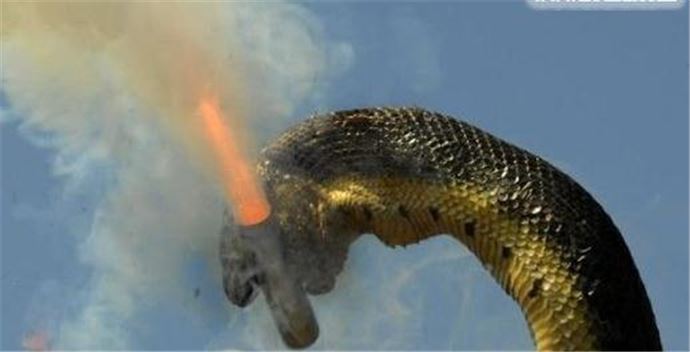 世界第一巨蛇在哪里 红海巨蛇是真的吗