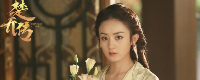 楚乔传的大结局是什么意思啊