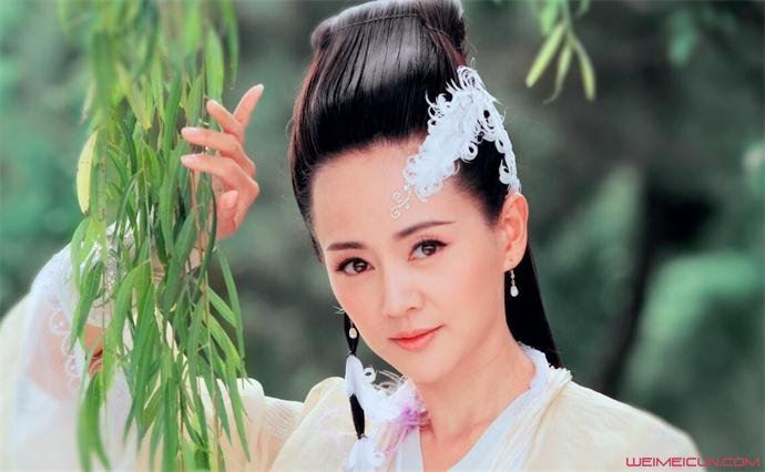 张定涵很爱王志飞 张定涵怎么看上王志飞