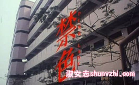 Maggie Q李美琪拍过三级片吗 Maggie Q大尺度电影