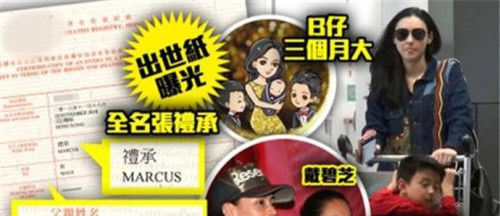  张柏芝三胎出生证曝光 孩子在温哥华的姐姐家