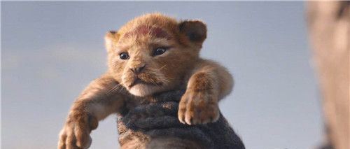 狮子王真人版豆瓣评分影评 是3D吗