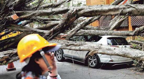 蔡依林奖杯震断 逗趣反应笑翻众人