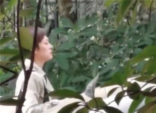  孙俪请求停止偷拍 摄现场受到了影响