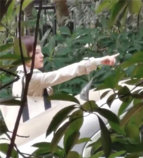  孙俪请求停止偷拍 摄现场受到了影响