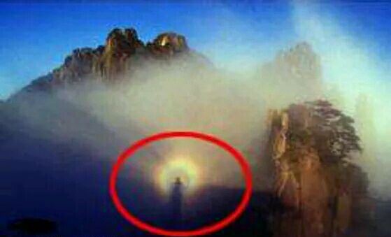 辽宁巨蟒渡劫事件 真的有渡劫飞升成仙吗