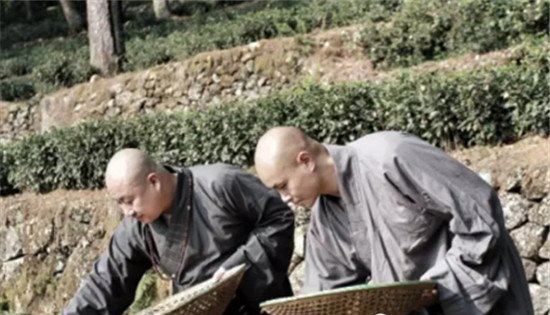 乐嘉最新现状 乐嘉现在到底去哪了