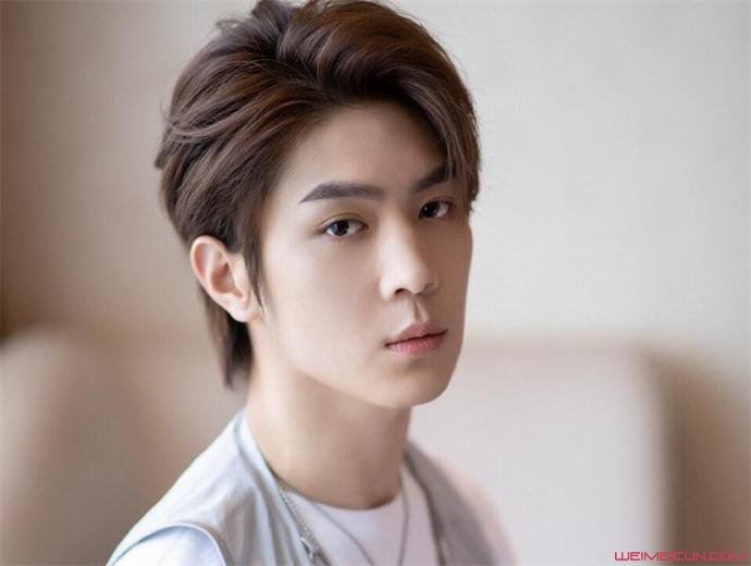 马伯骞和马仲骞双胞胎 兄弟俩人长得太像了